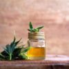 Is CBD Oil A Good Idea for Your Dogs?