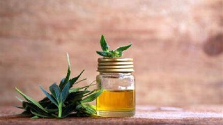 Is CBD Oil A Good Idea for Your Dogs?