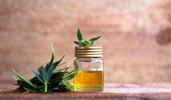 Is CBD Oil A Good Idea for Your Dogs