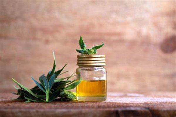Is CBD Oil A Good Idea for Your Dogs?