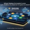 What Makes Ecrypto1.com Crypto Wallets the Best for Crypto in 2025?
